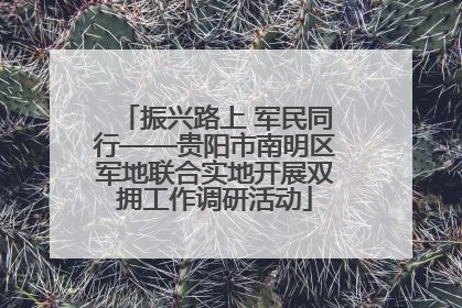 振兴路上 军民同行——贵阳市南明区军地联合实地开展双拥工作调研活动