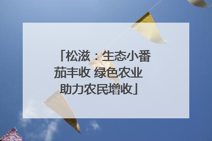松滋：生态小番茄丰收 绿色农业助力农民增收