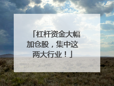 杠杆资金大幅加仓股，集中这两大行业！