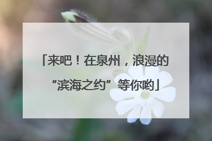 来吧！在泉州，浪漫的“滨海之约”等你哟