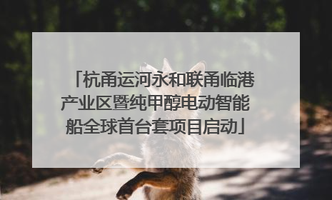 杭甬运河永和联甬临港产业区暨纯甲醇电动智能船全球首台套项目启动