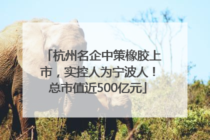 杭州名企中策橡胶上市，实控人为宁波人！总市值近500亿元