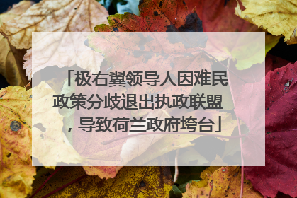 极右翼领导人因难民政策分歧退出执政联盟，导致荷兰政府垮台