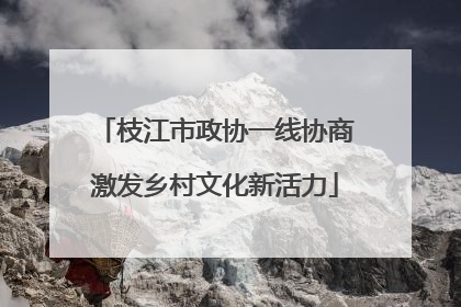 枝江市政协一线协商激发乡村文化新活力