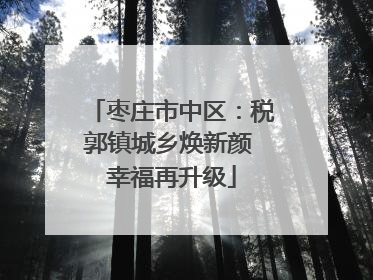 枣庄市中区：税郭镇城乡焕新颜 幸福再升级