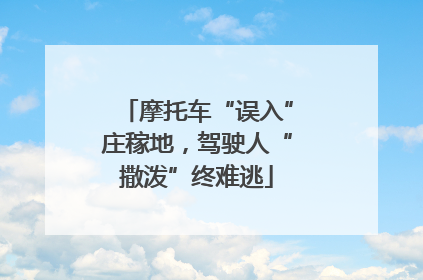 摩托车“误入”庄稼地，驾驶人“撒泼”终难逃
