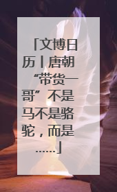 文博日历丨唐朝“带货一哥”不是马不是骆驼，而是……