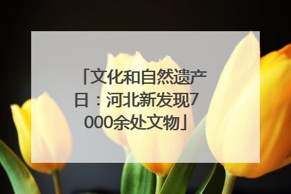 文化和自然遗产日：河北新发现7000余处文物