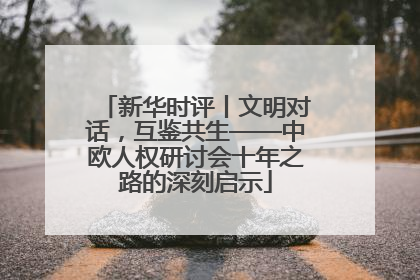 新华时评丨文明对话，互鉴共生——中欧人权研讨会十年之路的深刻启示