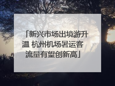 新兴市场出境游升温 杭州机场暑运客流量有望创新高