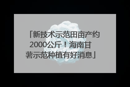 新技术示范田亩产约2000公斤！海南甘薯示范种植有好消息