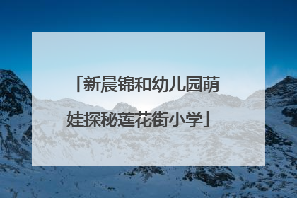 新晨锦和幼儿园萌娃探秘莲花街小学