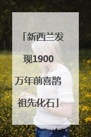 新西兰发现1900万年前喜鹊祖先化石