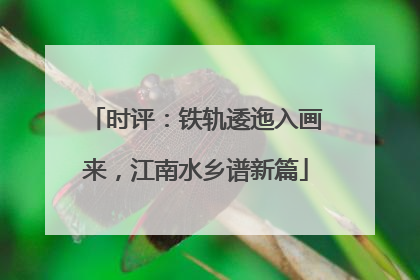 时评：铁轨逶迤入画来，江南水乡谱新篇