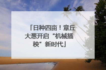 日种四亩！章丘大葱开启“机械插秧”新时代