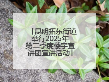 昆明拓东街道举行2025年第二季度楼宇宣讲团宣讲活动
