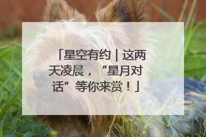 星空有约｜这两天凌晨，“星月对话”等你来赏！