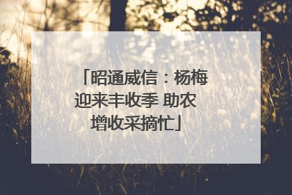 昭通威信：杨梅迎来丰收季 助农增收采摘忙