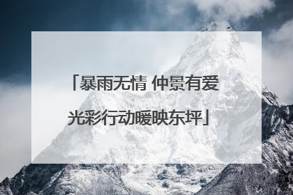 暴雨无情 仲景有爱 光彩行动暖映东坪