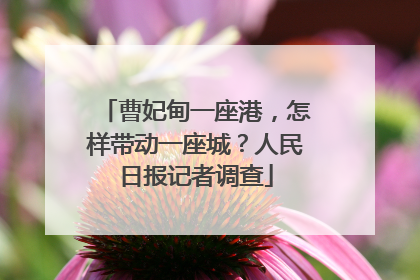 曹妃甸一座港，怎样带动一座城？人民日报记者调查