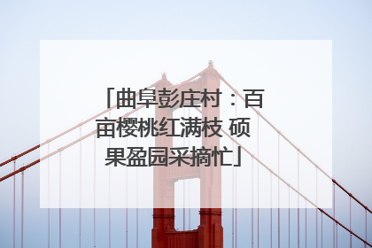 曲阜彭庄村：百亩樱桃红满枝 硕果盈园采摘忙