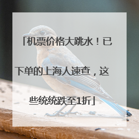 机票价格大跳水！已下单的上海人速查，这些统统跌至1折