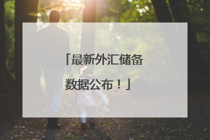 最新外汇储备数据公布！