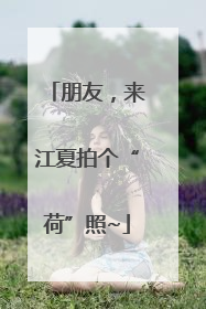 朋友，来江夏拍个“荷”照~