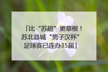 比“苏超”更草根！苏北县城“男子汉杯”足球赛已连办35届