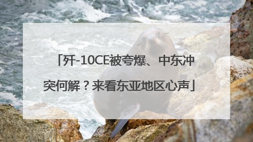 歼-10CE被夸爆、中东冲突何解？来看东亚地区心声