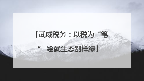 武威税务：以税为“笔” 绘就生态别样绿
