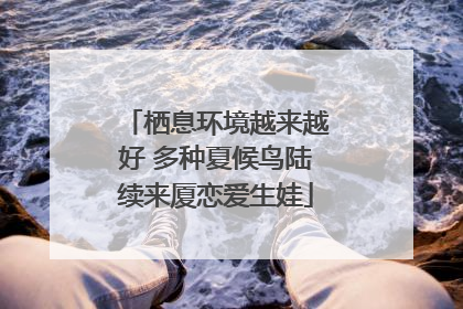 栖息环境越来越好 多种夏候鸟陆续来厦恋爱生娃