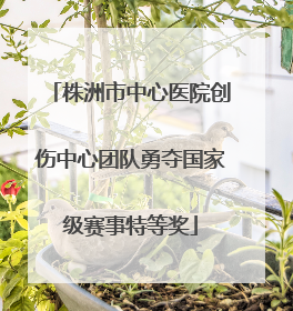 株洲市中心医院创伤中心团队勇夺国家级赛事特等奖