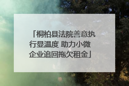 桐柏县法院善意执行显温度 助力小微企业追回拖欠租金