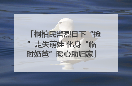 桐柏民警烈日下“捡”走失萌娃 化身“临时奶爸”暖心助归家