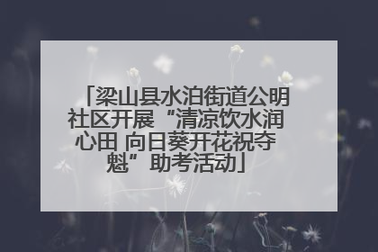 梁山县水泊街道公明社区开展“清凉饮水润心田 向日葵开花祝夺魁”助考活动