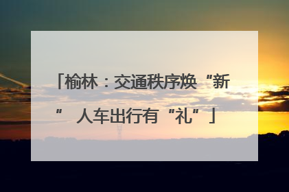 榆林：交通秩序焕“新” 人车出行有“礼”
