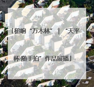 槌响“万木林”｜“天平杯·随手拍”作品展播