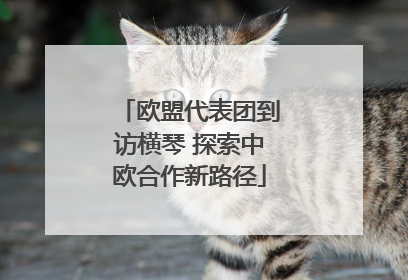 欧盟代表团到访横琴 探索中欧合作新路径