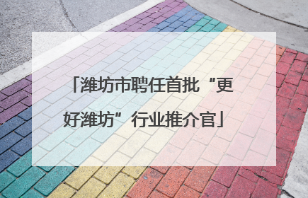 潍坊市聘任首批“更好潍坊”行业推介官