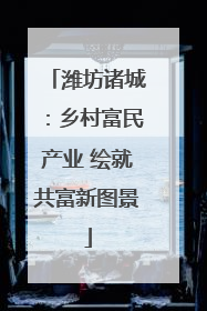 潍坊诸城：乡村富民产业 绘就共富新图景