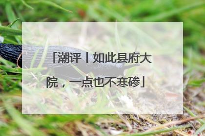潮评丨如此县府大院，一点也不寒碜