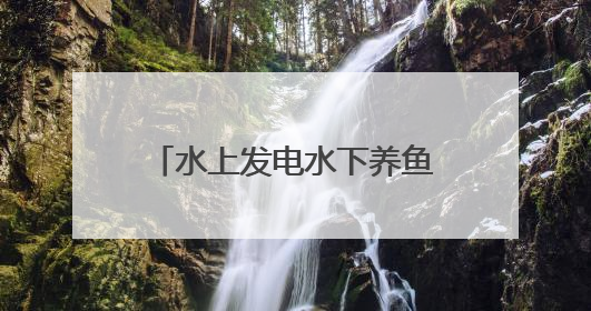水上发电水下养鱼，青岛这个村百亩竹节虾抢“鲜”上市