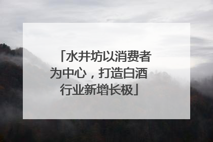 水井坊以消费者为中心，打造白酒行业新增长极