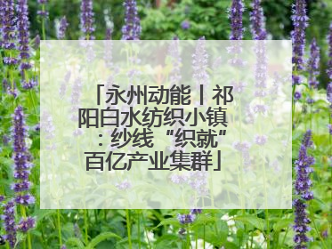 永州动能丨祁阳白水纺织小镇：纱线“织就”百亿产业集群