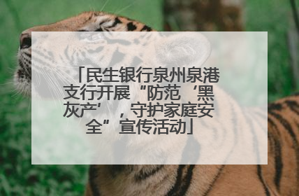 民生银行泉州泉港支行开展“防范‘黑灰产’，守护家庭安全”宣传活动