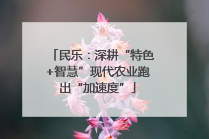 民乐：深耕“特色+智慧”现代农业跑出“加速度”