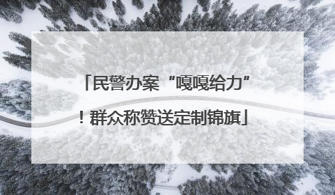 民警办案“嘎嘎给力”！群众称赞送定制锦旗