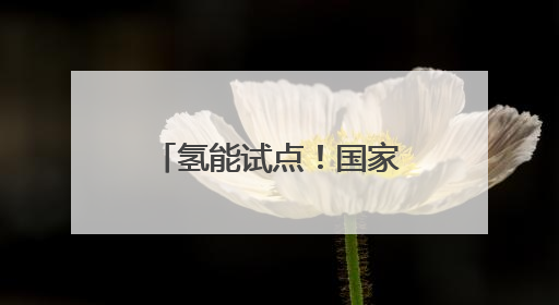 氢能试点！国家能源局重要通知