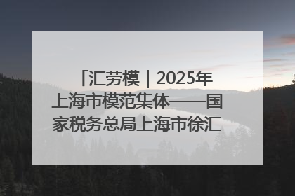 汇劳模｜2025年上海市模范集体——国家税务总局上海市徐汇区税务局第一税务所